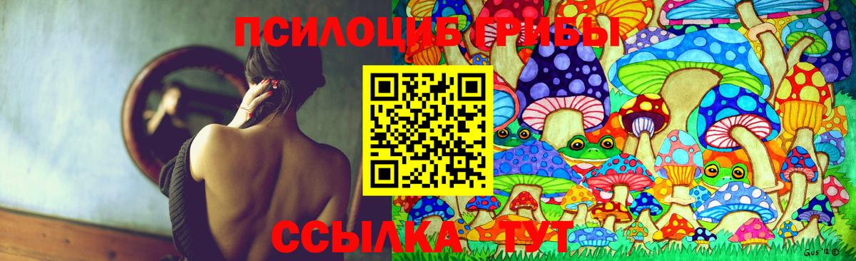 Омск  Галлюциногенные грибы мицелий  даркнет сайт  Вход с VPN  Галлюциногенные грибы Magic Shrooms 