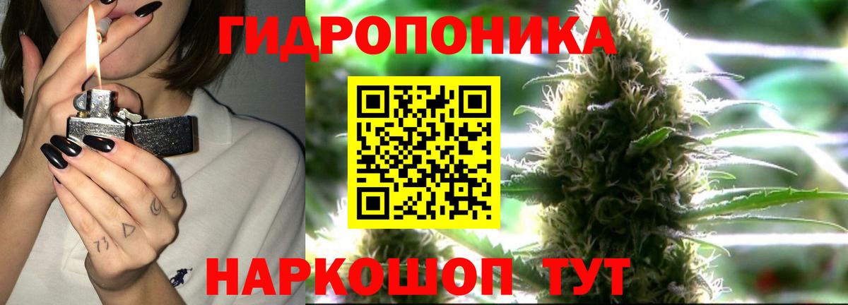 Каннабис AK-47  Вход с VPN  Бошки марихуана сатива  Канабис Bruce Banner  Омск  Канабис семена 